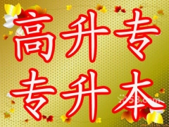 2019꺯ѧѧѵѧɲ