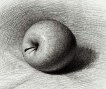 ʳѧϰ࣬˰