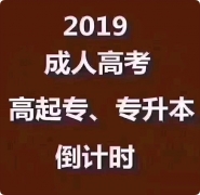 2019˸߿ʼ
