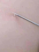 ɽëۼ