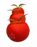 רҵѵѧУ